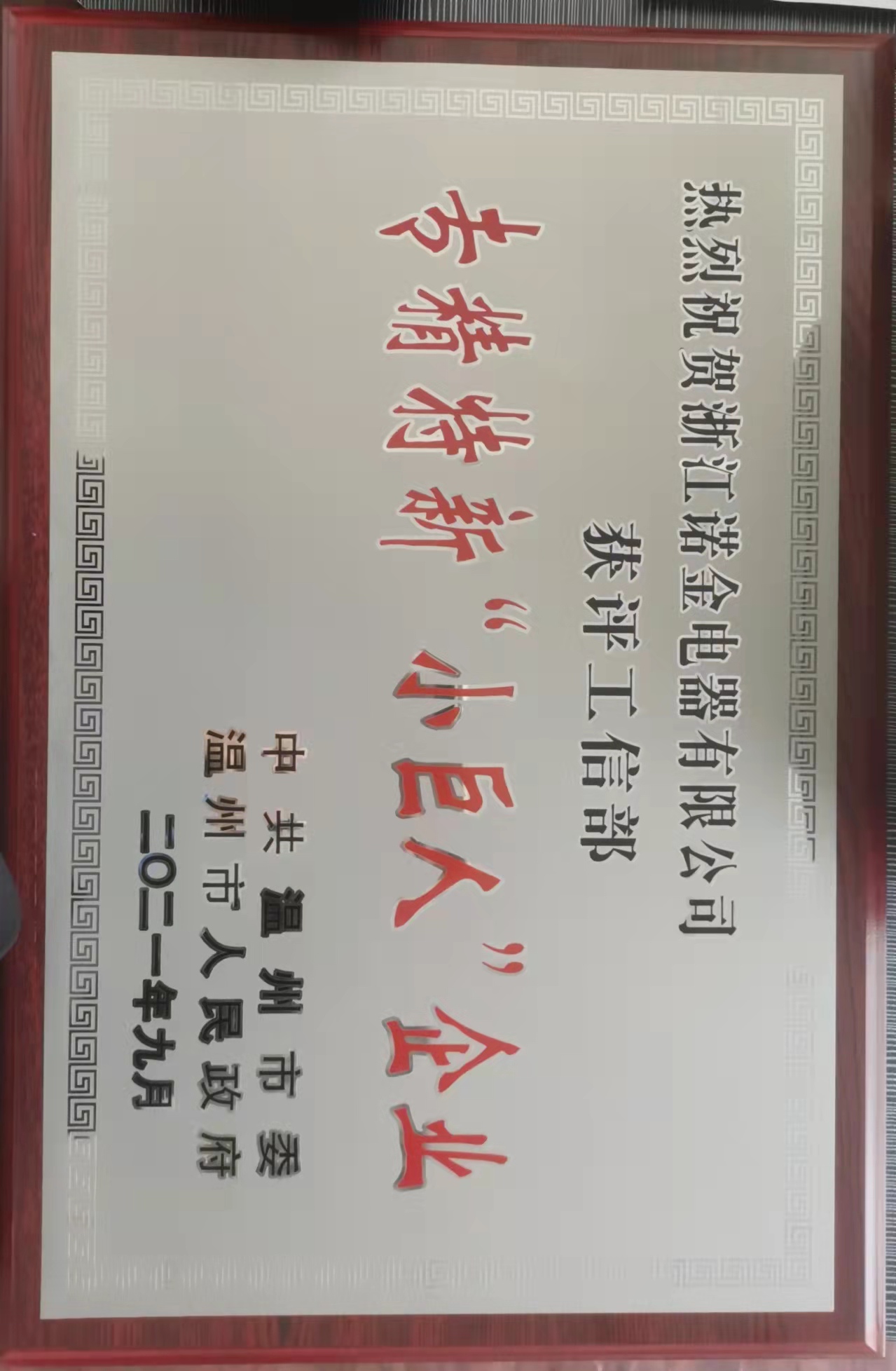 2021年度获得专精特新小巨人企业